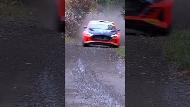 Crazy Rally