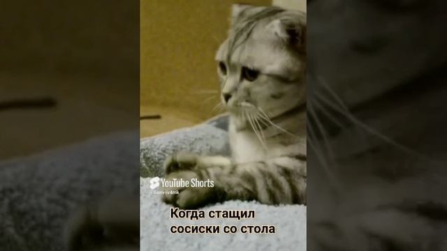 5 декабря 2024 г. (1).mp4