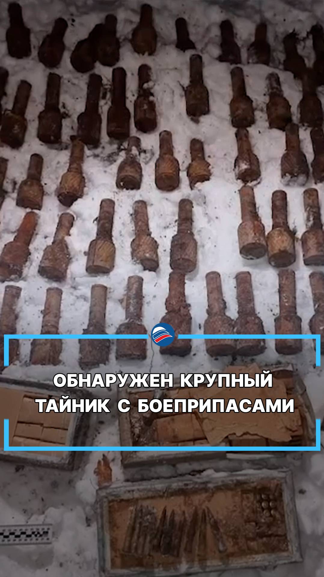 Обнаружен крупный тайник с боеприпасами #shorts