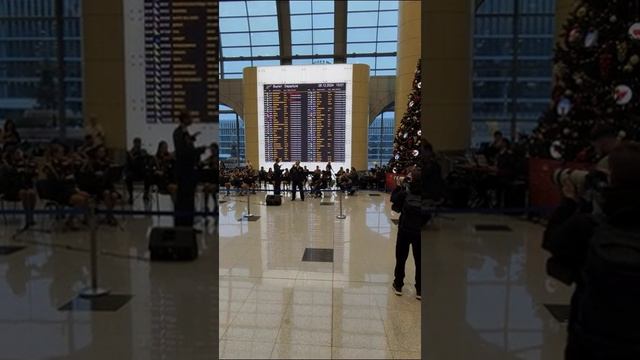 В предверии Дня Спасателя оркестр МЧС России выступил в аэропорту Домодедово.