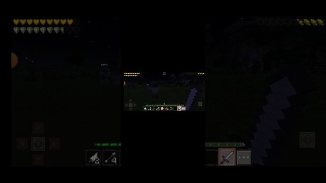 1000004016.mp4