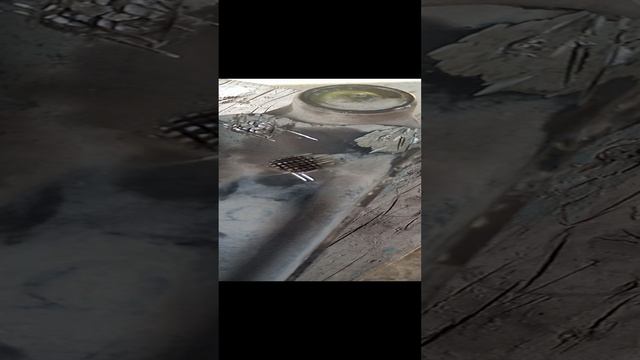 VID_20240819_155227.mp4