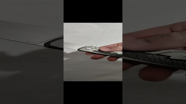 Green Torn F95,флиппер.