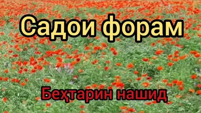 Э мусалмонон як бор гуш кунед ☝️