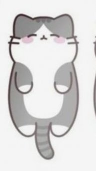 Ричи, новый котик и рубрика)