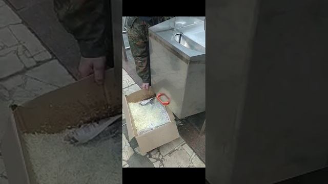 Машина резки  капусты для пирожков ВОС 212