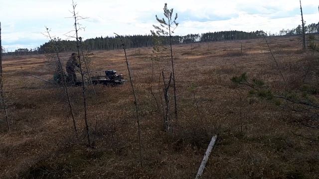 Мотособака по болоту