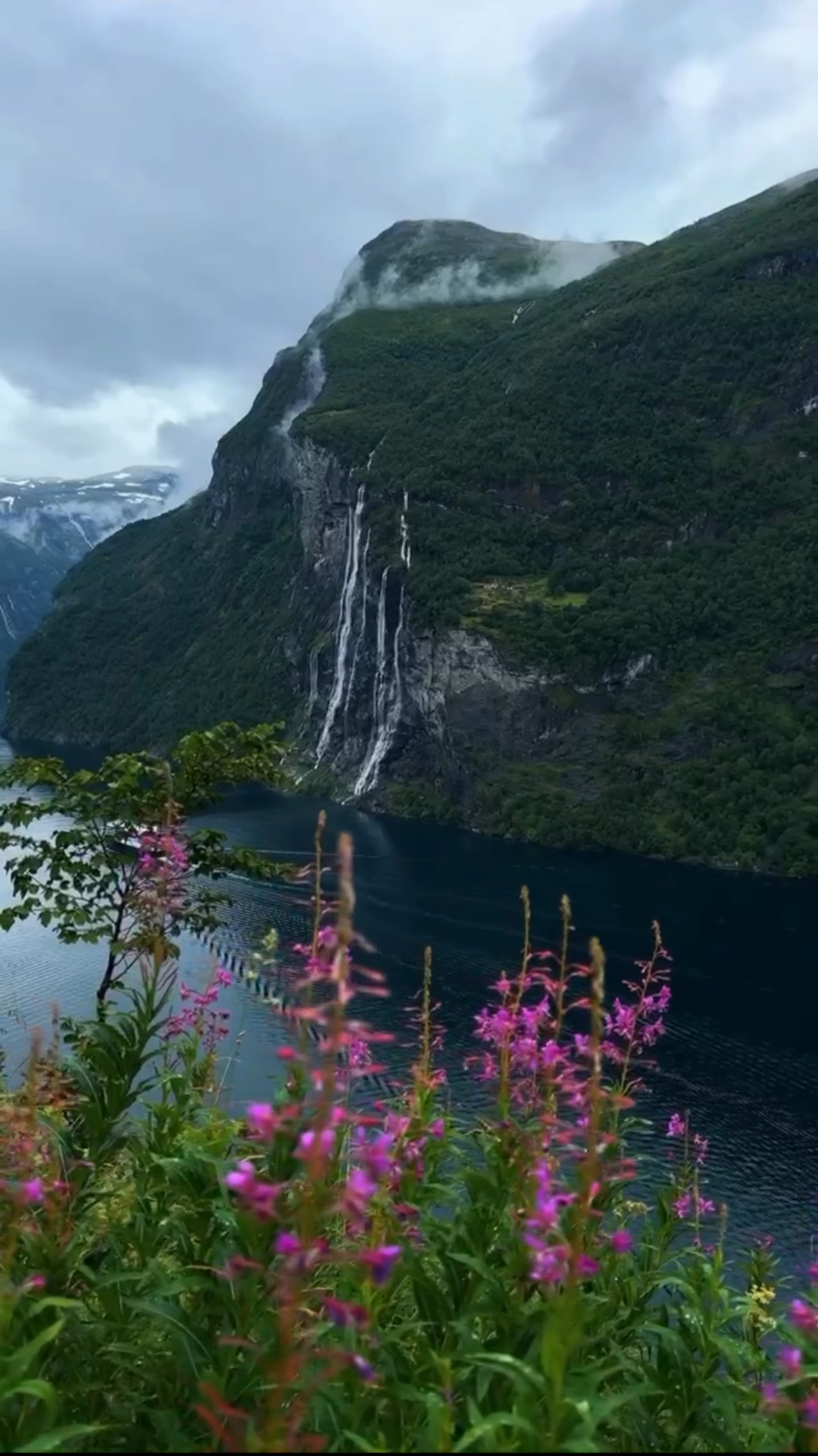 🌿 Остров Южный, Новая Зеландия 🇳🇿