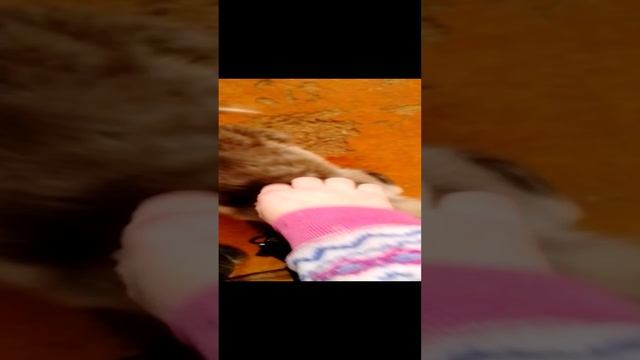 Зимой одна выжила.