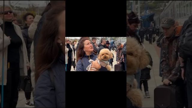 1000046417.mp4