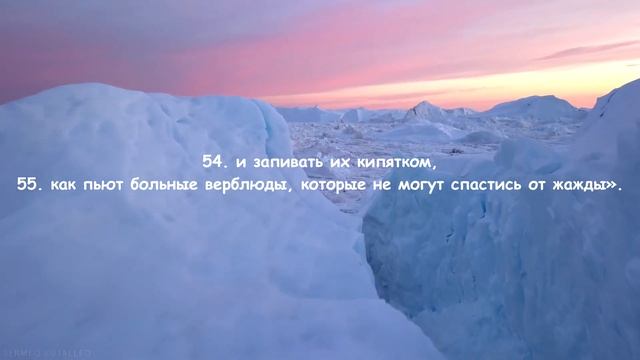 Ислам Субхи I Событие(1080P_HD)