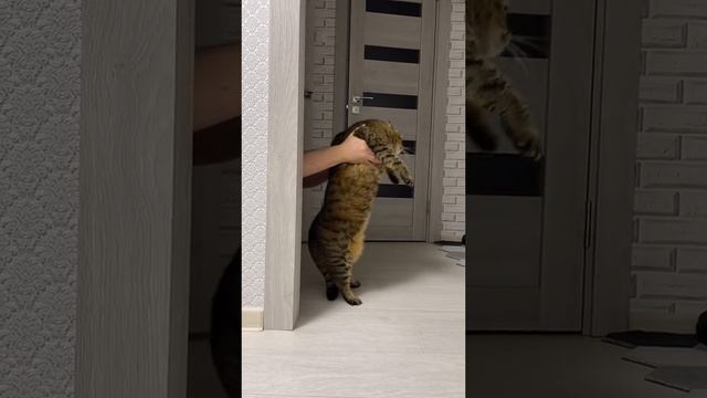 Туся😍