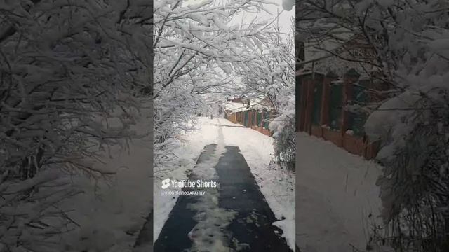 Для души! Абдулов-Гений! Спето великолепно..