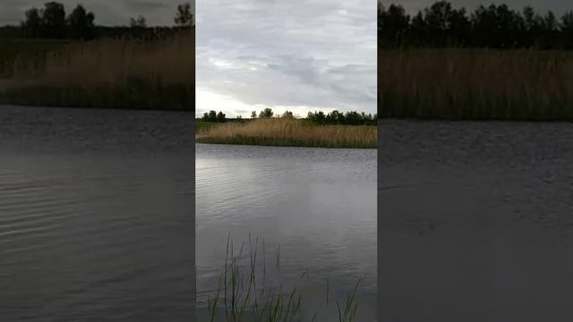 На рыбалке...