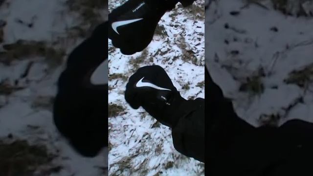 Перчатки Nike Therma-fit