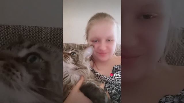 Like_7452697378583340767.mp4