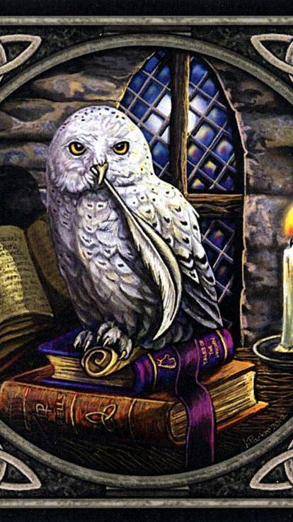 Новый сценарий жизни. Ваш? 😉😊💕 #таро #tarot #отношения #гадание #предсказание
