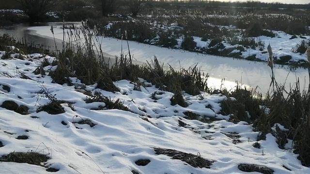 galena278_2024-12-26-12-01-03_1735203663068.mp4