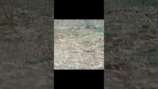 Новая рубрика