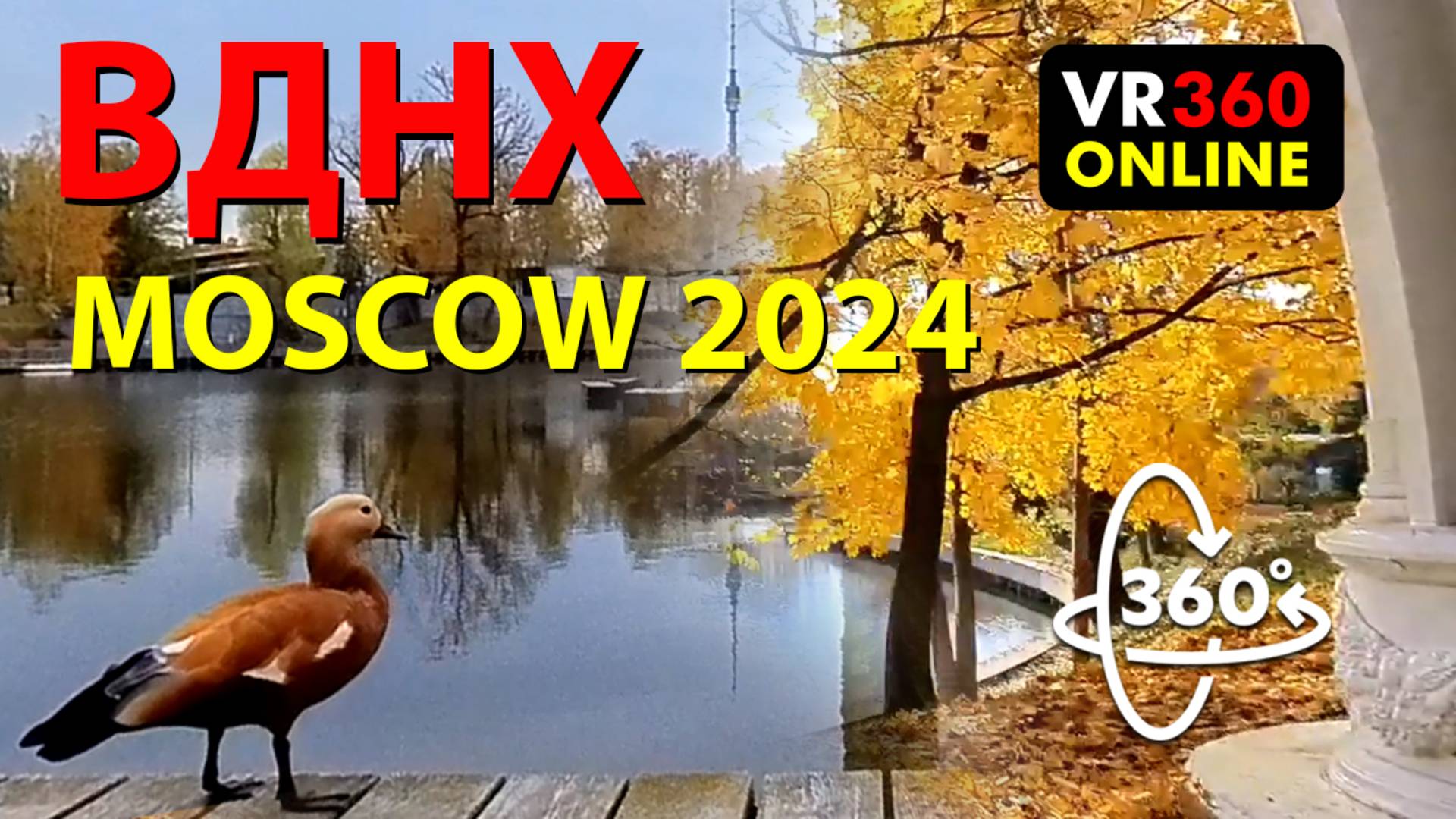 360 VR видео 4K 360 3D Москва 2024 ВДНХ ЗОЛОТАЯ ОСЕНЬ VR панорамное видео  VR 360 4K 3D видео