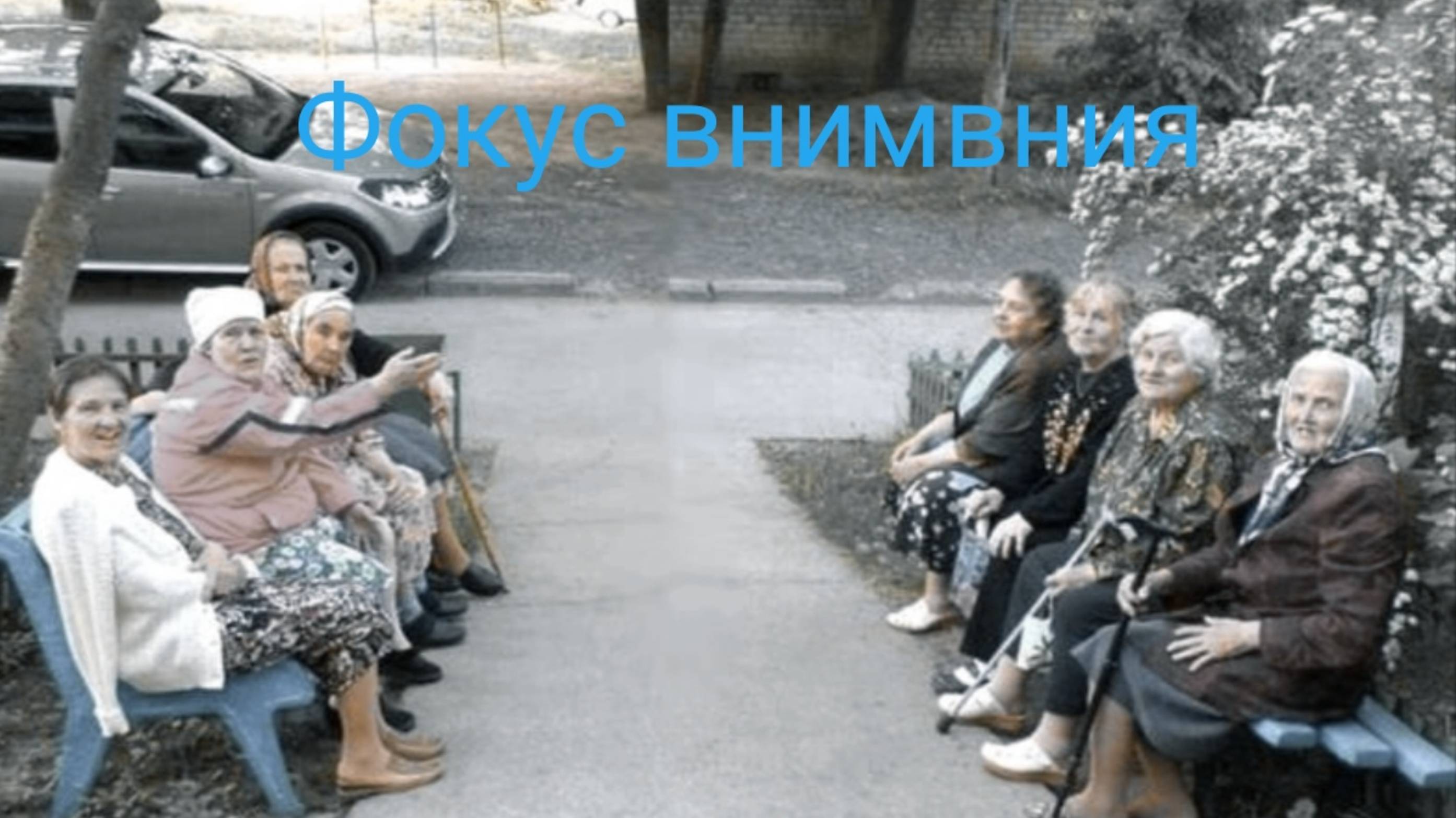 Фокус внимания