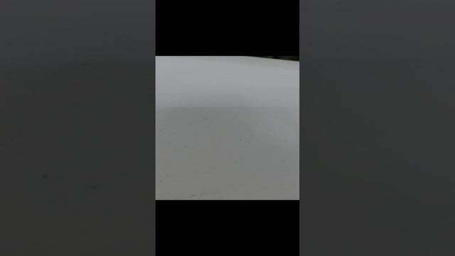 206