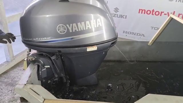 Yamaha F40 EFI запуск двигателя.