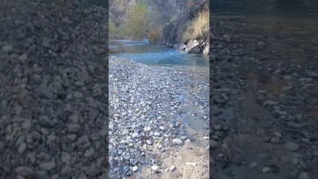 1000026666.mp4