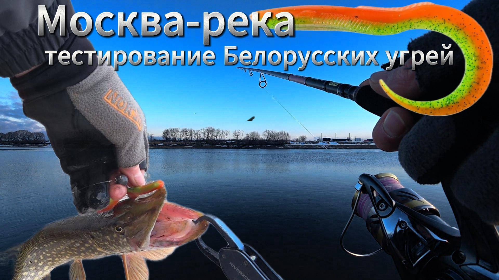 МОСКВА РЕКА Щука берегись! Работают белорусские угри #нарыбалке
