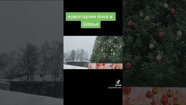 Новогодняя ёлка в Шарье. Новогодняя ёлка в Шарье.
