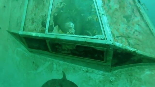 Ужасные находки водолазов.Жуткое видео | Horrible Finds Of Divers.
