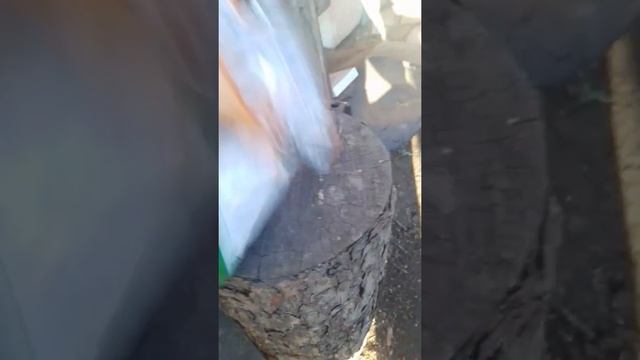 Хлопок пакета