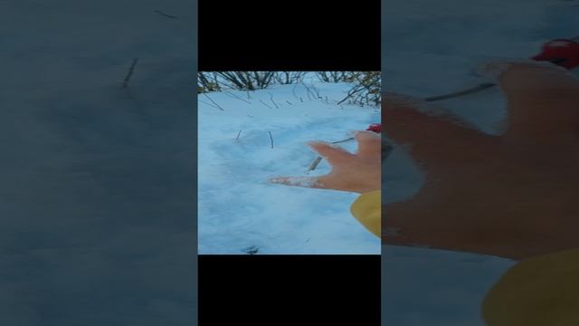 ПИПИНДУРЫ 4 серия (2 часть)
ЛЕС