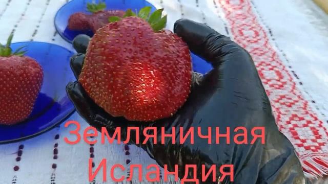 ЧамороТуруси