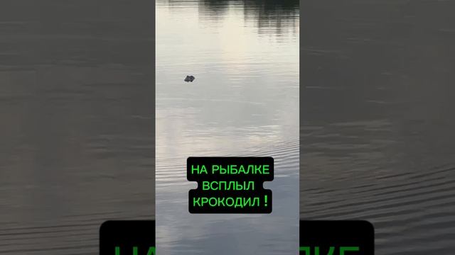 КРОКОДИЛ НА РЫБАЛКЕ