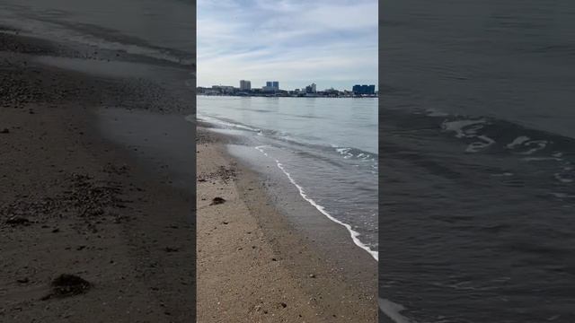 Разлившийся мазут уничтожил практически всю живность на дне Черного моря в зоне кораблекрушения.