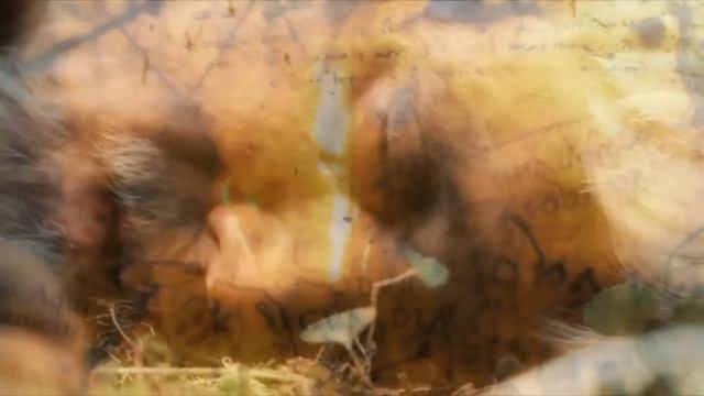 Мельница - Ольга