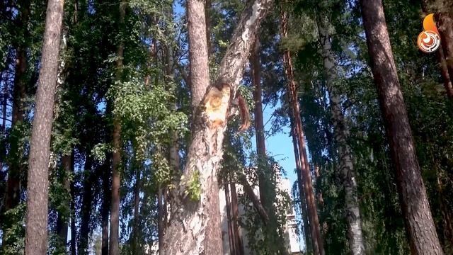 Вандальная остановка на ул. Ленинградская 2