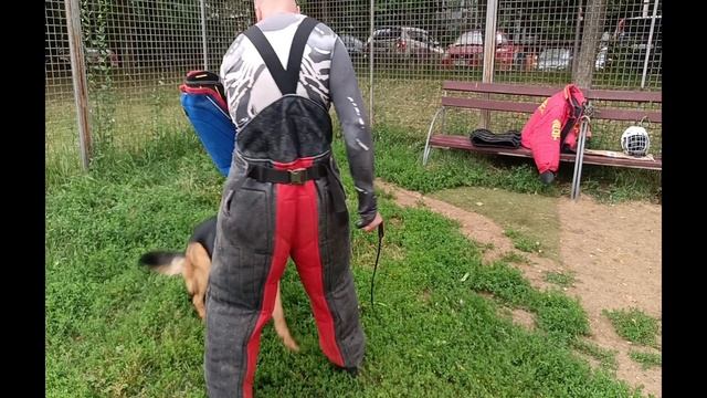 Fordogtrainers PS9