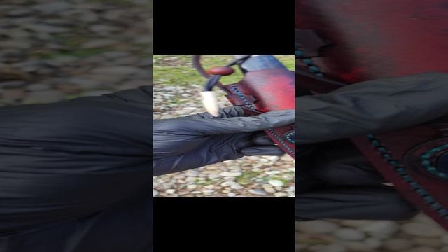 1000441198.mp4
