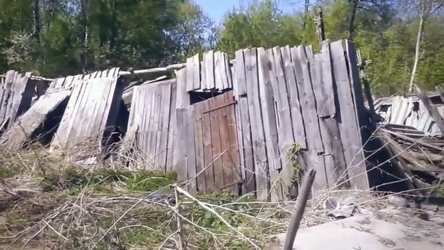 Александр Жуков ''Напилась я маманя''