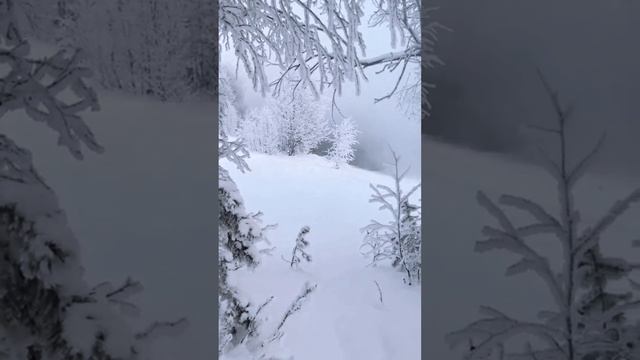 психология...