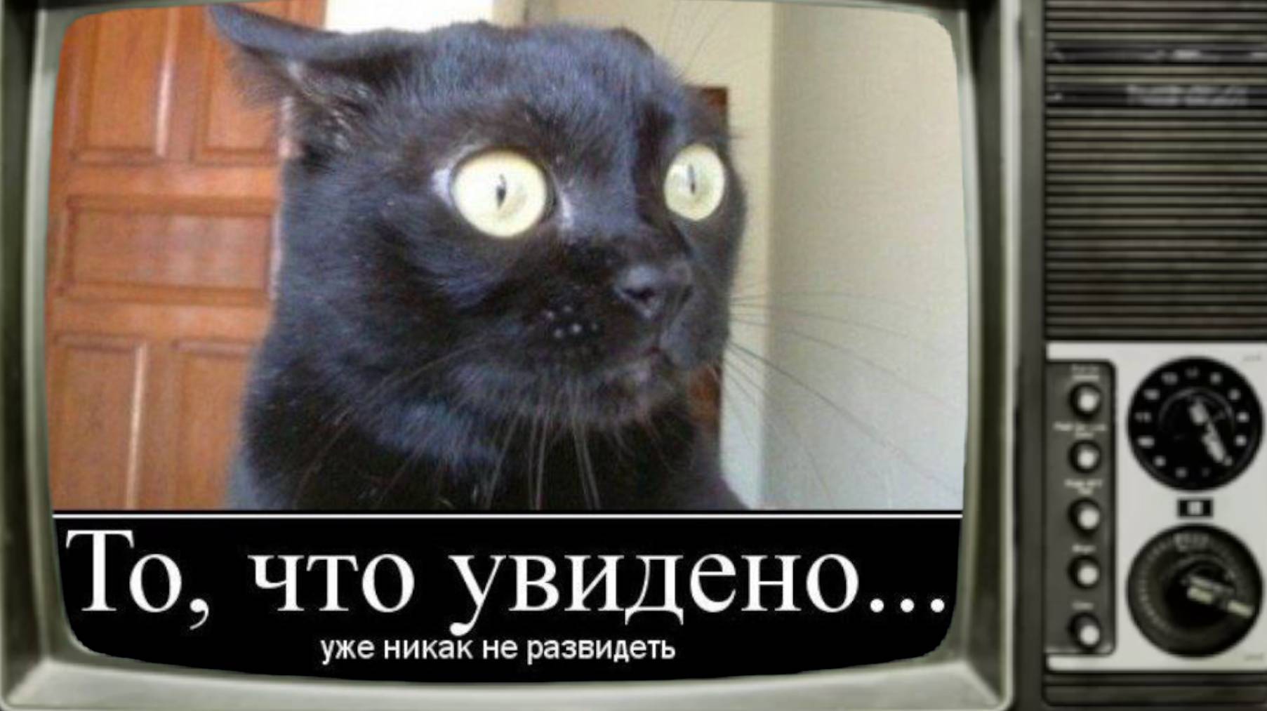 То,что увидено...уже ни как не развидеть!ТЦК."винегретик из телеги"