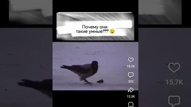 Вот как она узнала об этом? 😯