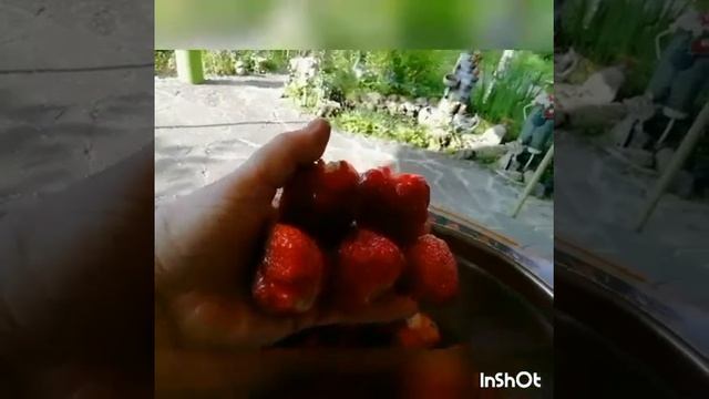 Я его слепила - а был кабачок, лук, морковь, томат и индейка...