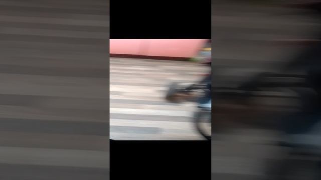 26-12-2024малышка