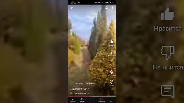 Формированные зеленые красавцы и красавицы 😍 🌳🌲🌱готовы к пересадке.