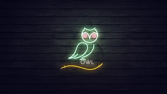 Owl - Neon Creative Work