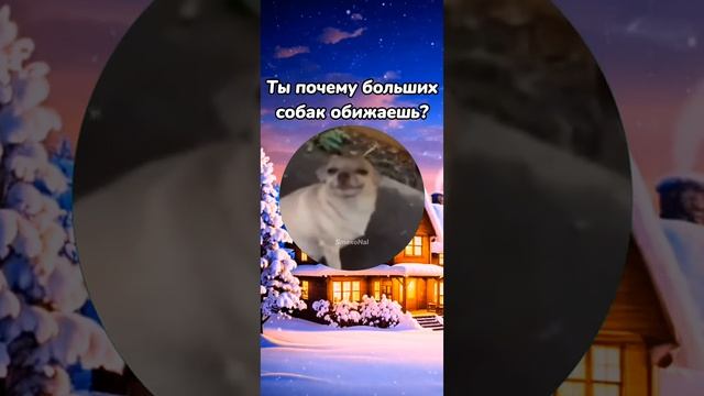 @smexonal=c097dd.mp4