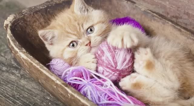 Музыка из вашей любимой игры